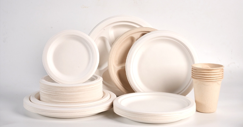 Bagasse Products 101 GangXuan Bagasse Products 101 GangXuan